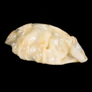 GYOZAS DE POLLO